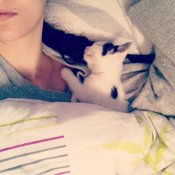 249177_10151365603321881_329925582_n